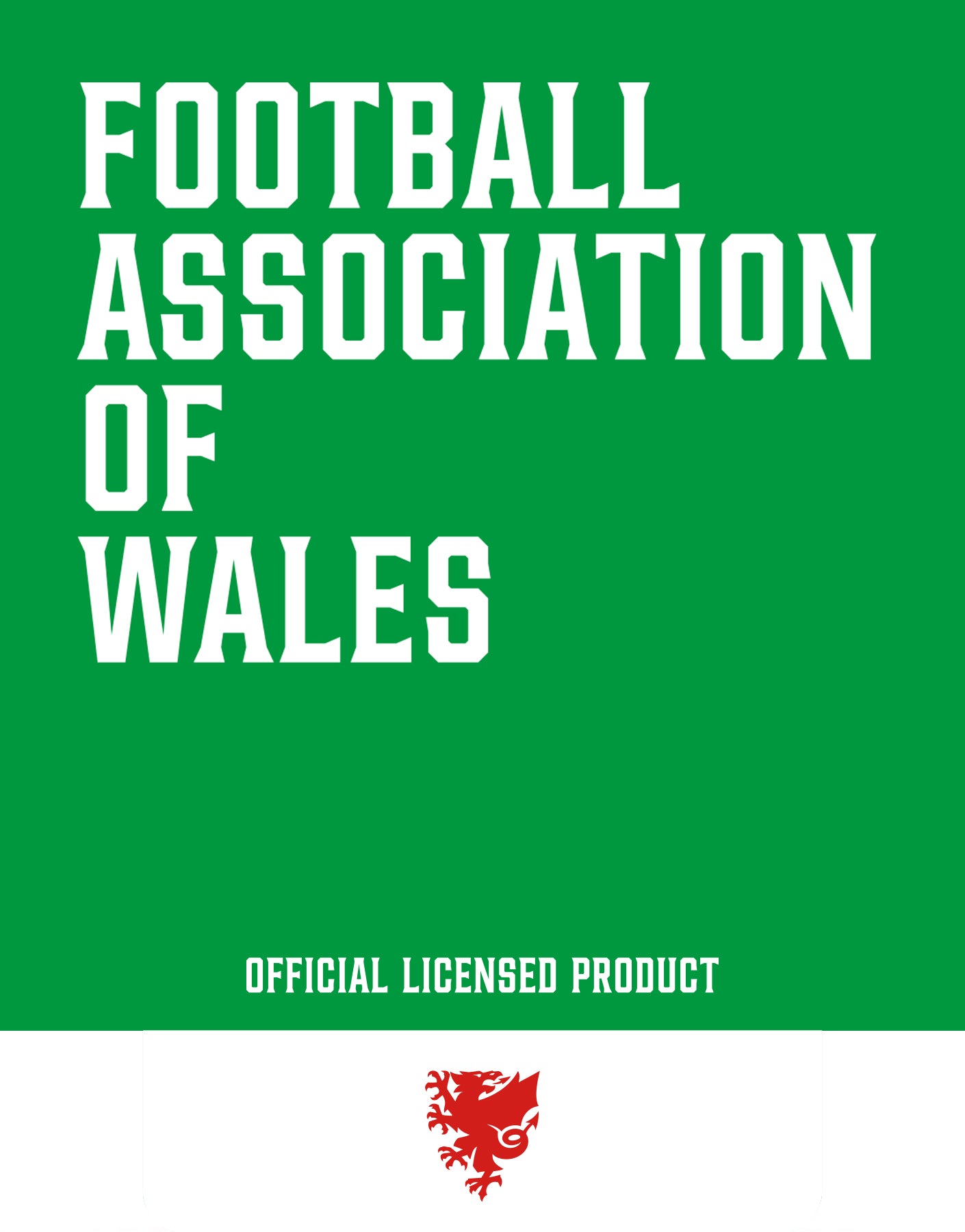Official Team Wales Mountain T-Shirt - White